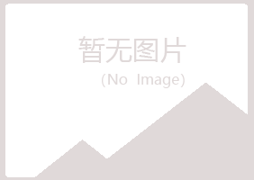 青岛紫山化学有限公司